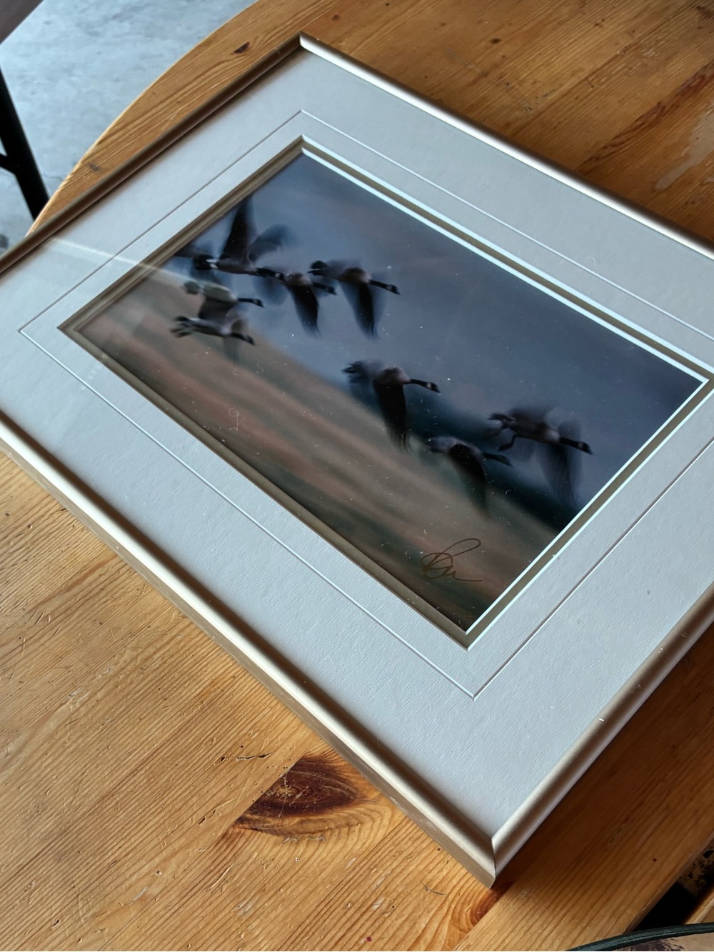Framed Coastal Birds Wall Art – Neutral White Frame